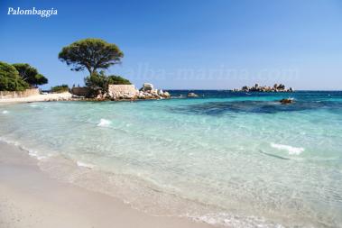 Palombaggia Corse du sud